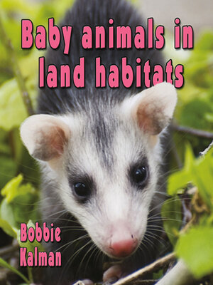 cover image of Baby animals in land habitats